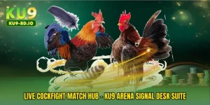 Live Cockfight Match Hub - KU9 Arena Signal Desk Suite