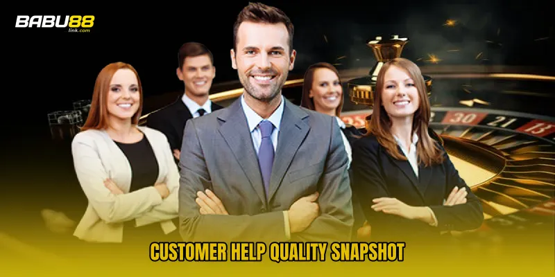 Customer Help Quality Snapshot